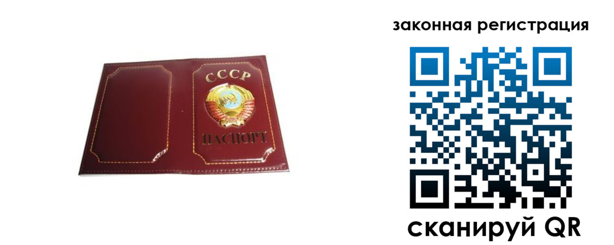 прописка поиск в Чечне